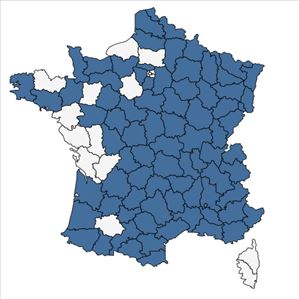 Répartition de Narcissus poeticus L. en France