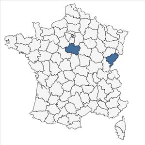 Répartition de Spiraea x arguta Zabel en France