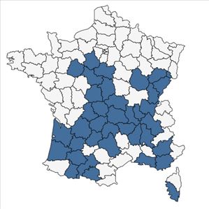 Répartition de Trifolium incarnatum L. var. incarnatum en France