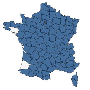 Répartition de Neottia nidus-avis (L.) Rich. en France