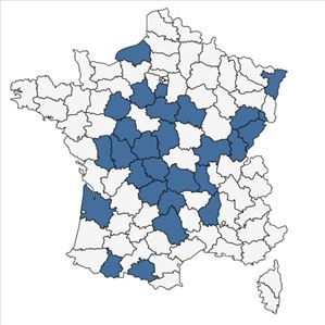 Répartition de Viola riviniana Rchb. f. riviniana  en France