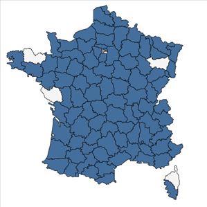 Répartition de Anthemis arvensis L. en France