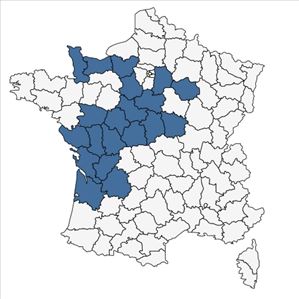 Répartition de Odontites jaubertianus (Boreau) D.Dietr. ex Walp. en France