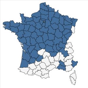 Répartition de Oenanthe aquatica (L.) Poir. en France