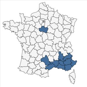 Répartition de Potentilla pedata Willd. ex Hornem. en France