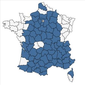 Répartition de Ononis pusilla L. en France