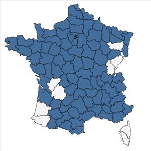 Répartition de Onopordum acanthium L. en France