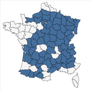 Répartition de Anthericum ramosum L. en France