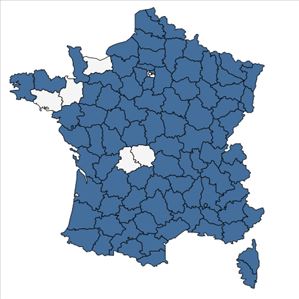 Répartition de Orchis anthropophora (L.) All. en France