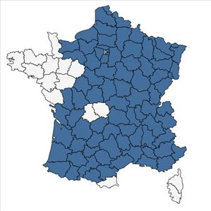 Répartition de Orchis militaris L. en France