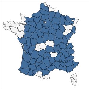 Répartition de Orchis simia Lam. en France