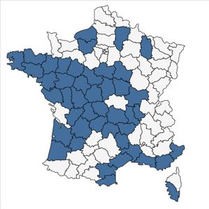 Répartition de Anthoxanthum aristatum Boiss. en France