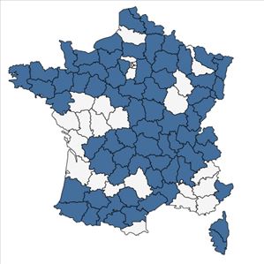 Répartition de Oreopteris limbosperma (Bellardi ex All.) Holub en France