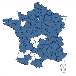 Répartition de Orobanche caryophyllacea Sm. en France