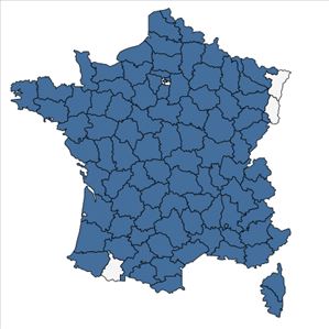 Répartition de Orobanche minor Sm. en France