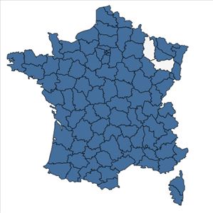 Répartition de Oxalis corniculata L. en France