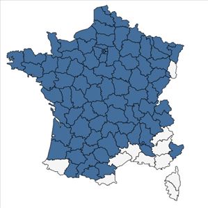 Répartition de Oxalis stricta L. en France