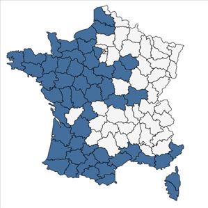 Répartition de Parentucellia viscosa (L.) Caruel en France