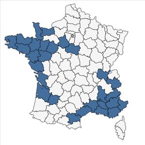 Répartition de Tragopogon eriospermus Ten. en France