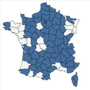 Répartition de Parietaria officinalis L. en France