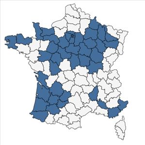 Répartition de Parthenocissus quinquefolia (L.) Planch. en France