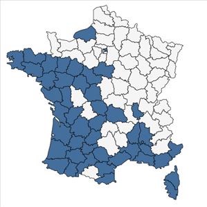 Répartition de Paspalum distichum L. en France