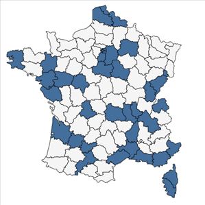 Répartition de Paulownia tomentosa (Thunb.) Steud. en France