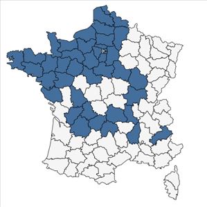 Répartition de Pentaglottis sempervirens (L.) Tausch ex L.H.Bailey en France