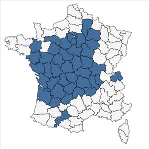 Répartition de Peucedanum gallicum Latourr. en France