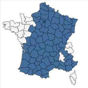 Répartition de Phalaris arundinacea L. en France