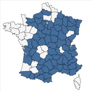 Répartition de Phyteuma orbiculare L. en France