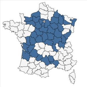 Répartition de Phyteuma orbiculare subsp. tenerum (R.Schulz) Braun-Blanq. en France