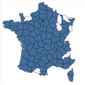Répartition de Phytolacca americana L. en France