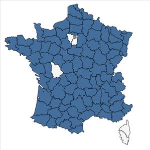 Répartition de Pimpinella major (L.) Huds. en France