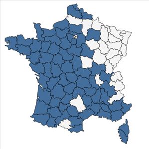 Répartition de Pinus pinaster Aiton en France