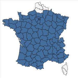 Répartition de Pinus sylvestris L. en France