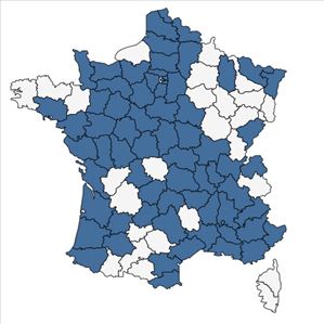 Répartition de Plantago arenaria Waldst. & Kit. en France