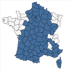 Répartition de Plantago coronopus L. en France