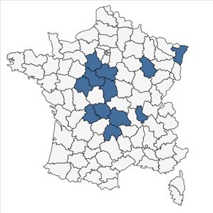 Répartition de Digitalis purpurea L. subsp. purpurea en France