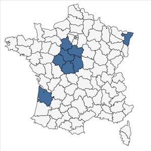 Répartition de Linum catharticum L. var. catharticum en France