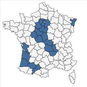 Répartition de Veronica chamaedrys L. subsp. chamaedrys var. chamaedrys en France