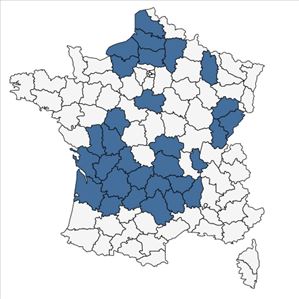 Répartition de Ophrys araneola sensu auct.plur. en France