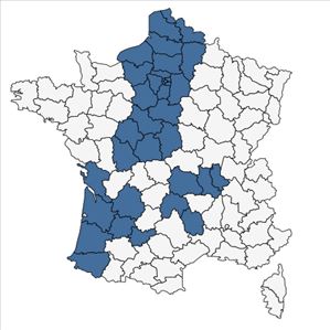 Répartition de Jacobaea vulgaris Gaertn. subsp. vulgaris en France