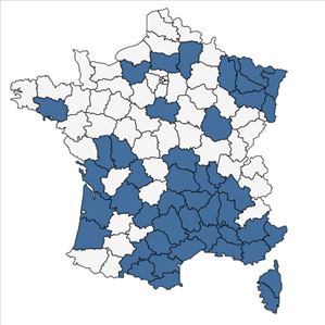 Répartition de Polycnemum arvense L. en France