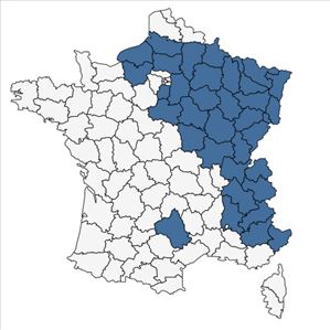 Répartition de Polygala amarella Crantz en France
