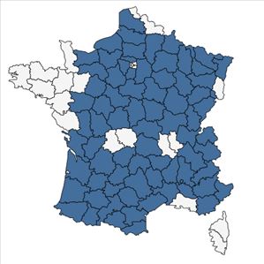 Répartition de Polygala calcarea F.W.Schultz en France