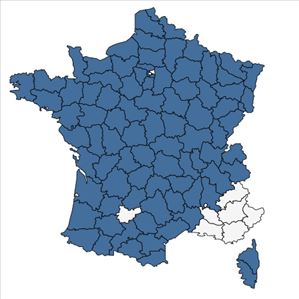 Répartition de Polygala serpyllifolia Hosé en France