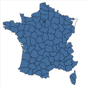 Répartition de Polypodium interjectum Shivas en France