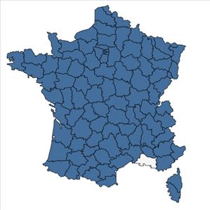 Répartition de Polypodium vulgare L. en France