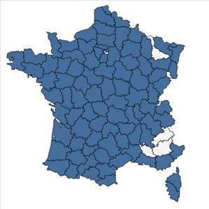 Répartition de Polystichum setiferum (Forssk.) T.Moore ex Woyn. en France